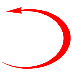 dgsa