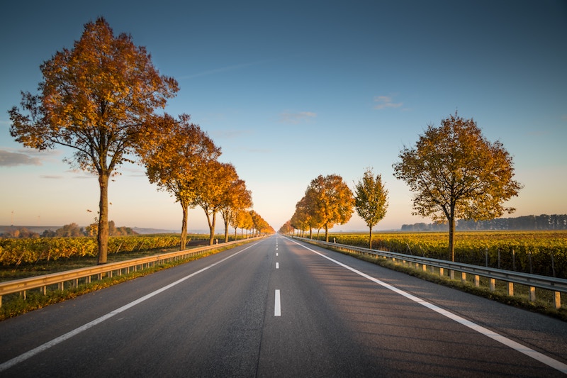 Haulage Company In Cambridgeshire